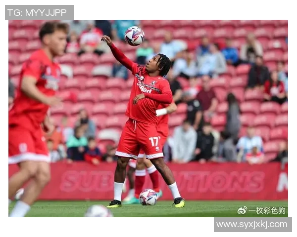 斯托克城与西布罗姆对决比分分析及预测展望 斯托克城与西布罗姆对决比分分析及预测展望