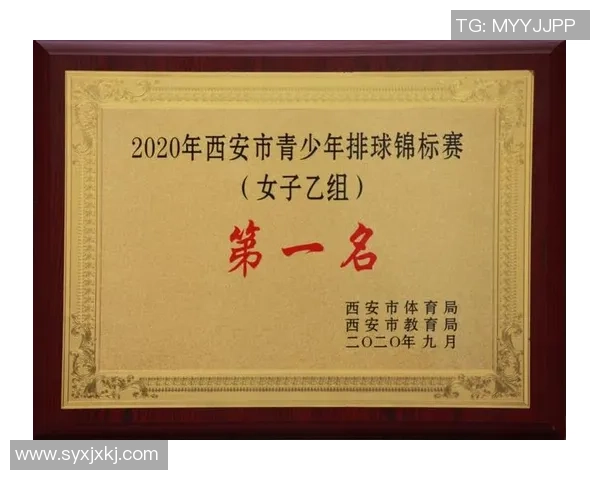 西安排球队的整体压制策略分析与成效评估